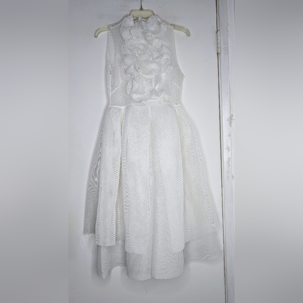 A.W.A.K.E. Mesh Tiered Ruffled Lapel Sleeveless Dress